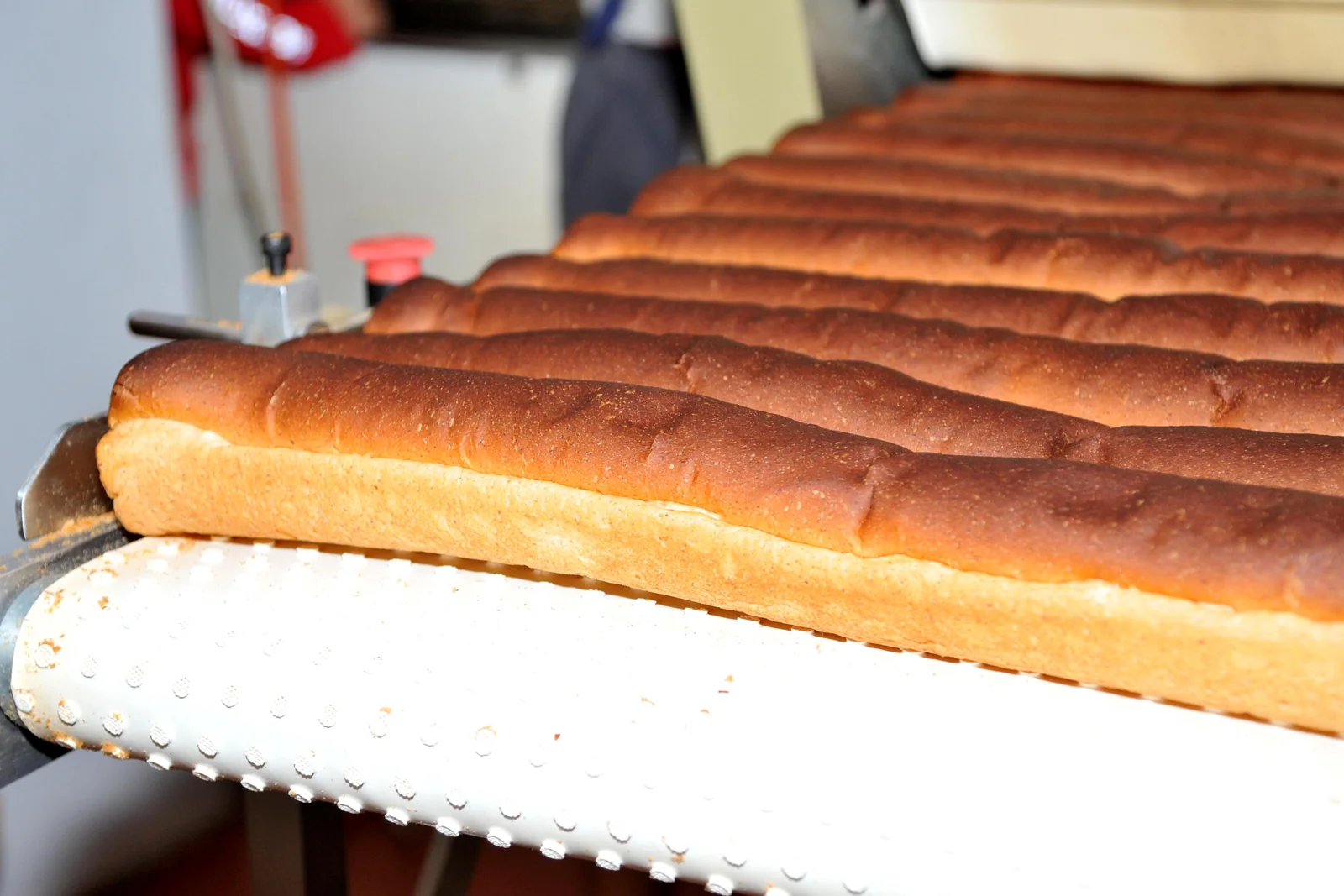 La preparazione del Biscotto Salute